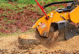 Best Lot and Land Clearing  in Welby, CO